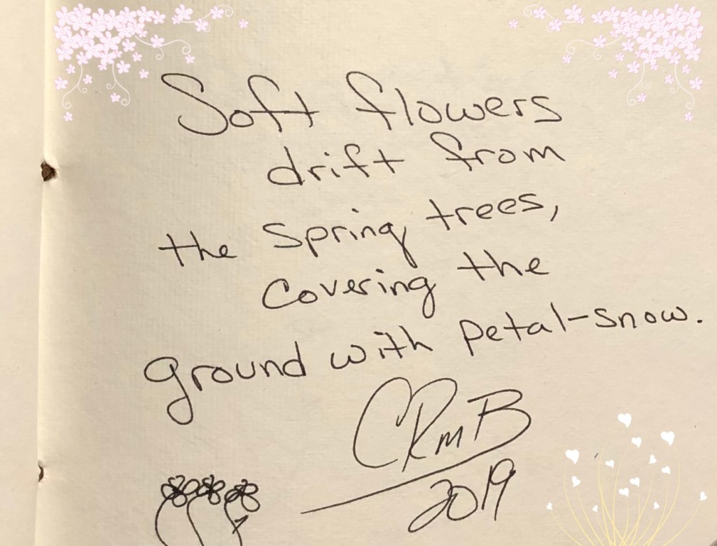 Soft flowers drift from 
the spring trees covering the 
ground with petal-snow. 